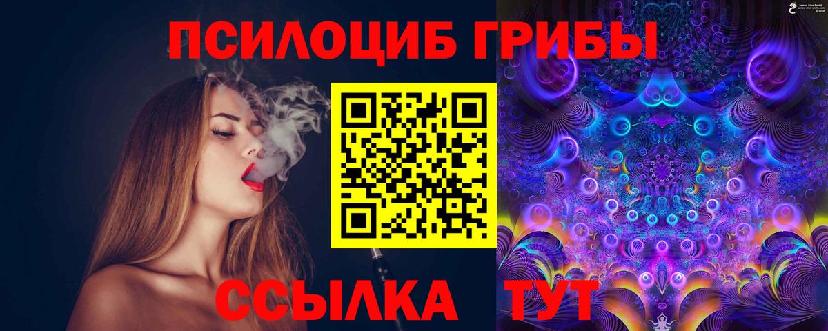 Псилоцибиновые грибы Magic Shrooms Тверь