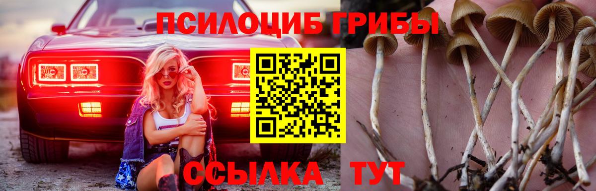 Галлюциногенные грибы мухоморы  Вход с VPN  Тверь 